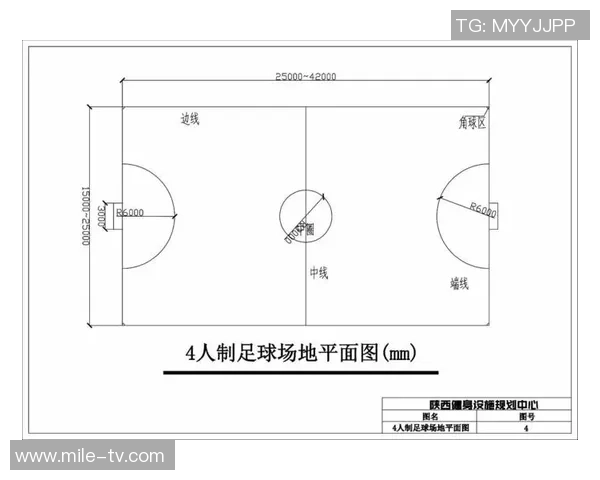 标准足球球场尺寸及其对比赛的影响分析与探讨